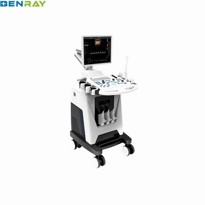 Color Ultrasound Diagnostic System