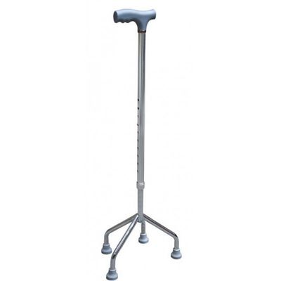 Cane