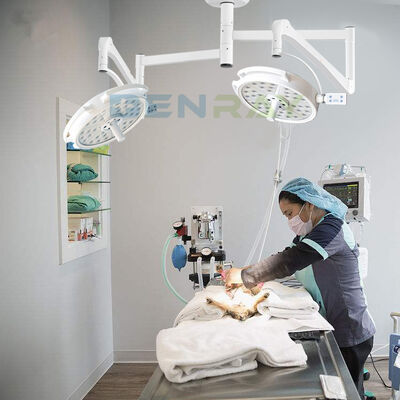 Ceiling Type  ENT Dental GNY Veterinary Surgery LED Operating Lamp Exam Lamp